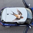 Swallow Bird Nature Wildlife Full Color Car Decal Sticker KC-191 FRST
