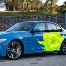 Green Rose Flower Paint Full Color Car Decal Sticker KC-319 FRST