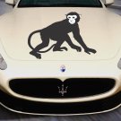 Monkey Wild Animals Zoo Full Color Car Decal Sticker KC-107 FRST