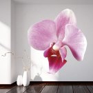 Orchid Flower Beauty Spa Full Color Wall Decal Sticker AN-170 FRST