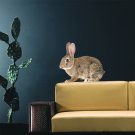Little Rabbit Animal Zoo Grey Full Color Wall Decal Sticker AN-111 FRST