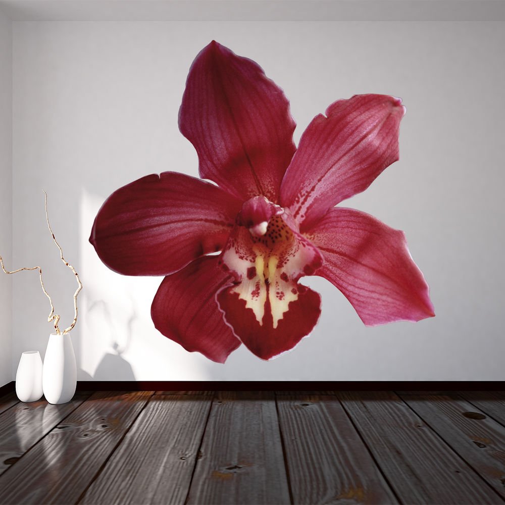 Orchid Flower Beauty Spa Full Color Wall Decal Sticker AN-146 FRST