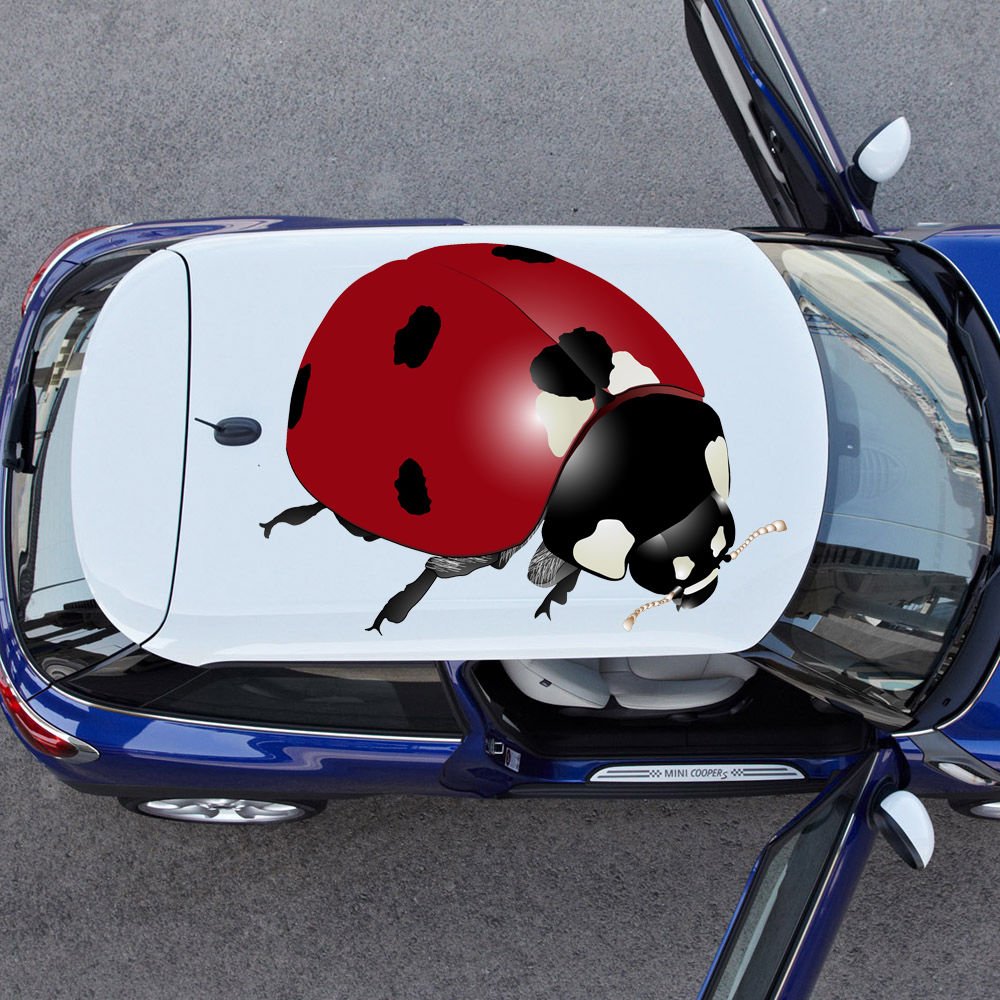 Ladybug Insect Bug Wildlife Full Color Car Decal Sticker KC-348 FRST