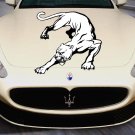Panther Wild Animals Wildlife Full Color Car Decal Sticker KR-88 FRST