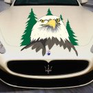 Eagle Bird Forest Wildlife Full Color Car Decal Sticker KR-125 FRST
