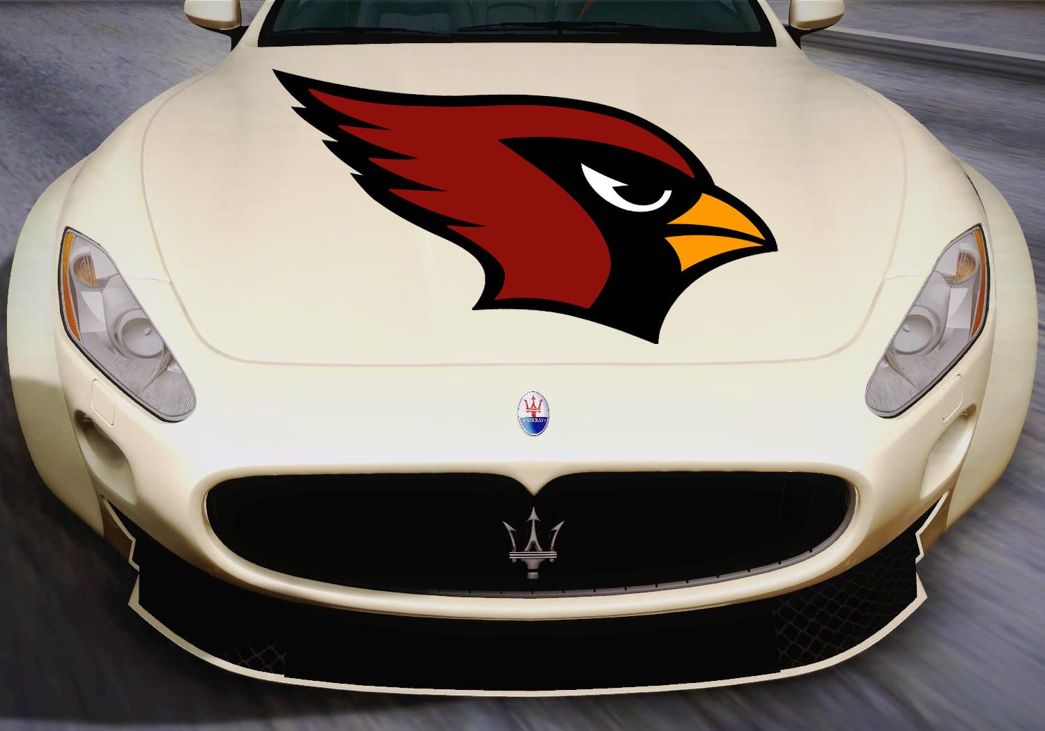 Eagle Head Bird Wildlife Full Color Car Decal Sticker KC-126 FRST