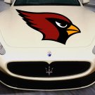 Eagle Head Bird Wildlife Full Color Car Decal Sticker KC-126 FRST