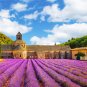 Lavender in the Luberon non woven wallpaper ,plant, photo wallpaper, Wall mural
