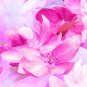 Magical flowers ,Flowers non woven wallpaper, photo wallpaper, Wall mural