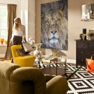 Lion, king of the jungle, predator, non woven photo wallpaper, Wall mural