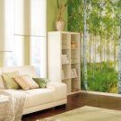 Birch Tree non woven wallpaper, forest,photo wallpaper, Wall mural