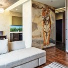 Tiger, predatory animals,wildlife,animal Kingdom non woven wallpaper, photo wall