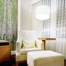 Birch trees, Birch Grove non woven wallpaper, forest,photo wallpaper, Wall mural