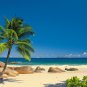 Seychelles Islands ,the palm Seychelles, photo wallpaper, Wall mural