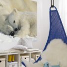 Nursery Room decor Polar bears, animals, north pole, photo non woven wallpaper