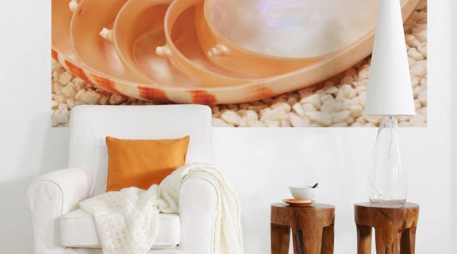 Sea Shell, Beach Theme Wallpaper, sea, fish, shellfish, photo wallpaper