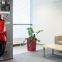 scooter, Red scooter non woven wallpaper, photo wallpaper, Wall mural