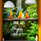 Parrots, Ara, wildlife,Ara parrots, Birds non woven wallpaper, photo wallpaper,