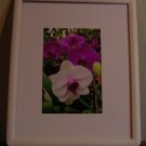 White Wood Framed Photo