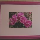 Framed Picture