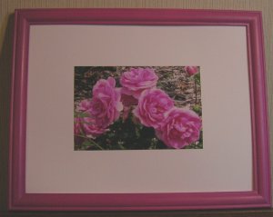 Framed Picture