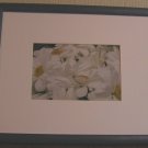 Daisies In Blue Frame