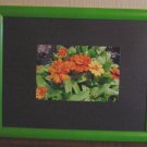 Lime Green Wood Frame