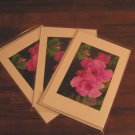 Set of 3 Cards