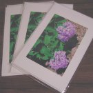 Set of 3 Cards
