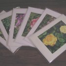 6 Assorted Photo Cards