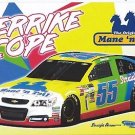 2017 derrike cope Darlington mane tail hero card
