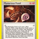 Mysterious Fossil