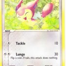 Skitty
