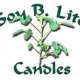 Soy Candles - All Natural
