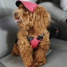 Stylish Protective Cap For Your Puppy’s Eyes