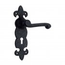 ""Zadok"" Black Iron Door Handle with Plate - Black Powdercoated