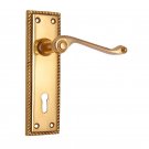 ""Abiram"" Brass Door Handle with Plate - Polish Lacquered