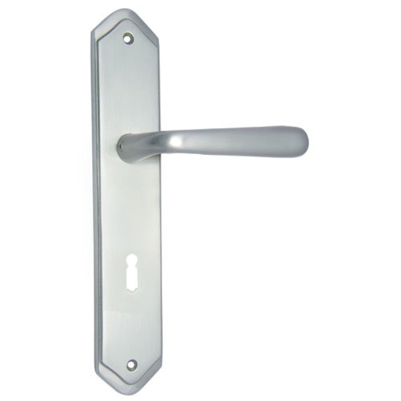 ""Ahaz"" Brass Door Handle with Plate - Satin Nickel