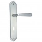 ""Ahaz"" Brass Door Handle with Plate - Satin Nickel