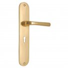 ""Ahaziah"" Brass Door Handle with Plate - Polish Lacquered