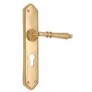 ""Amaziah"" Brass Door Handle with Plate - Polish Lacquered
