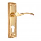 ""Cainan"" Brass Door Handle with Plate - Polish Lacquered