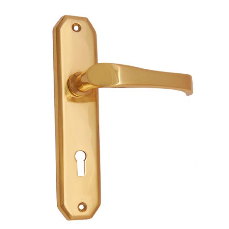 ""Coniah"" Brass Door Handle with Plate - Polish Lacquered