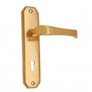""Coniah"" Brass Door Handle with Plate - Polish Lacquered