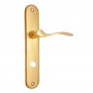 ""Enoch"" Brass Door Handle with Plate - Polish Lacquered