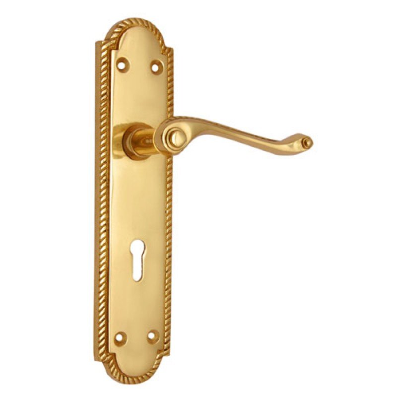 ""Enosh"" Brass Door Handle with Plate -  Polish Lacquered