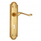 ""Enosh"" Brass Door Handle with Plate -  Polish Lacquered