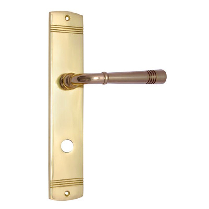 ""Jared"" Brass Door Handle with Plate -  Polish Lacquered