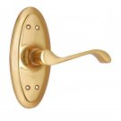 ""Jeconiah"" Brass Door Handle with Plate - Polish Lacquered