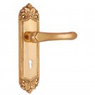 ""Jehoiakim"" Brass Door Handle with Plate - Polish Lacquered